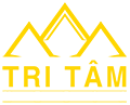 tritammedia